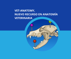 Nueva plataforma vet-Anatomy