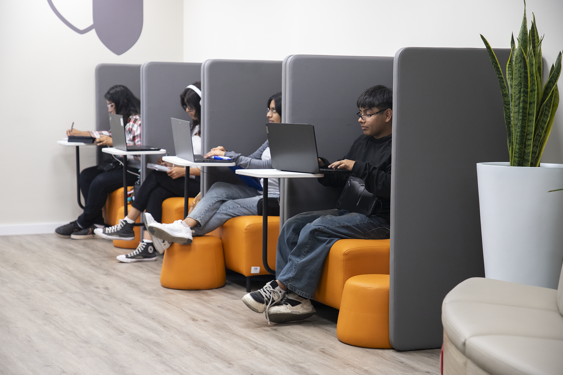 crea-cubiculos